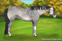 Horse Color:Blue Onyx Ice 