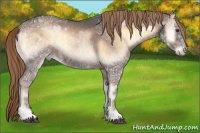 Horse Color:Liver Red Onyx Ice