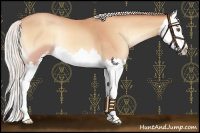Horse Color:Silver Amber Champagne Onyx Sabino Splash 