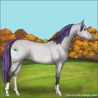 Horse Color:Platinum Painted Buckskin Roan Dun 