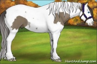 Horse Color:Smoky Grullo Splash Tobiano