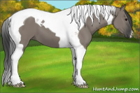 Horse Color:Grullo Tobiano
