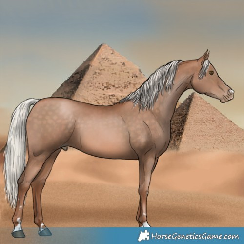 Horse Color:Silver Brown Pearl 