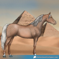 Horse Color:Silver Brown Pearl 