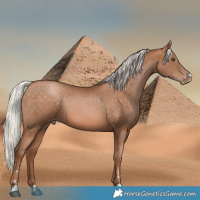 Horse Color:Silver Brown Pearl 