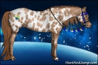Horse Color:Liver Chestnut Pearl Near Leopard 