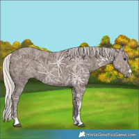 Horse Color:Silver Black Ice