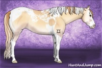 Horse Color:Gold Champagne Onyx Splash Tobiano