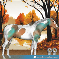 Horse Color:Chestnut Tobiano 