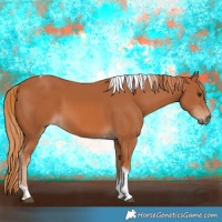 Horse Color:Chestnut Tobiano