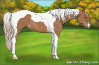 Horse Color:Chestnut Tobiano 