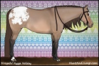 Horse Color:Brown Dun Sabino Snowcap Rabicano