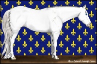 Horse Color:Silver Grullo Sabino Splash Appaloosa Rabicano