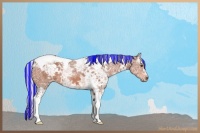 Horse Color:Painted White Spotted Silver Brown Ice Tobiano 