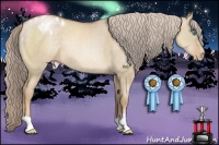 Horse Color:Chocolate Palomino Pearl Dun Appaloosa 