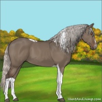 Horse Color:Silver Grullo Sabino Tobiano