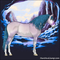 Horse Color:Watercolor Bay Onyx Rabicano 