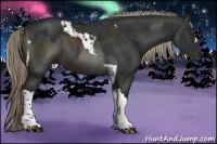 Horse Color:Liver Chestnut Tobiano  and Liver Chestnut Rabicano 