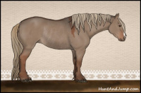 Horse Color:Liver Red Dun Rabicano 