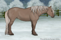 Horse Color:Silver Grullo 