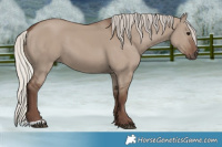 Horse Color:Silver Grullo 