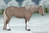 Horse Color:Silver Grullo 