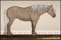 Horse Color:Silver Grullo 