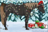 Horse Color:Liver Chestnut Rabicano 