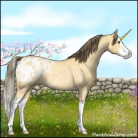 Horse Color:Buckskin Roan Splash Appaloosa 
