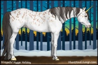Horse Color:White Spotted Bay Appaloosa 