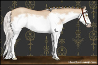 Horse Color:Silver Classic Champagne Dun Splash Frame Rabicano