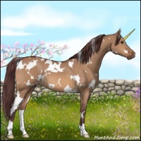 Horse Color:White Spotted Chocolate Bay Dun 
