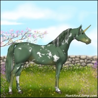Horse Color:Watercolor White Spotted Liver Chestnut 