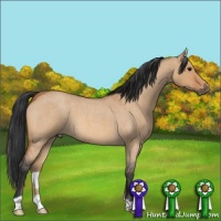 Horse Color:Bay Roan Dun 