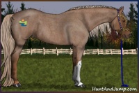 Horse Color:Red Roan 