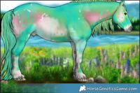 Horse Color:Watercolor White Spotted Liver Red Onyx Rabicano 