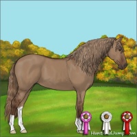 Horse Color:Liver Red Dun 