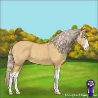 Horse Color:Palomino Dun Splash 