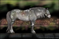 Horse Color:Platinum White Spotted Chocolate Palomino Sabino Rabicano