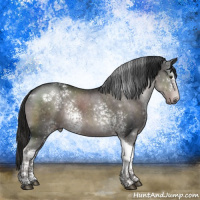 Horse Color:Platinum White Spotted Liver Chestnut Tobiano 