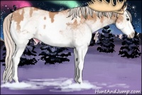Horse Color:White Spotted Silver Bay Dun Splash  and White Spotted Silver Bay Dun Splash 