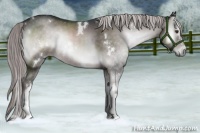 Horse Color:Platinum White Spotted Chocolate Palomino Onyx 