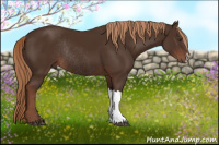 Horse Color:Liver Chestnut Rabicano
