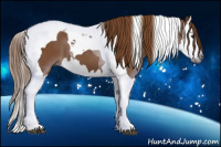 Horse Color:Gray Chestnut Splash Tobiano