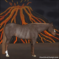 Horse Color:Liver Chestnut Rabicano 
