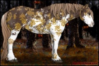 Horse Color:Liver Chestnut Sabino Rabicano 