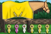 Horse Color:Buckskin Rabicano