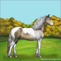 Horse Color:Chocolate Palomino Sabino Tobiano Rabicano