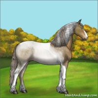 Horse Color:Chocolate Palomino Tobiano
