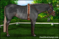 Horse Color:Liver Chestnut Rabicano